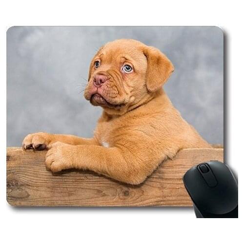Golden retriever puppy dog,Dogue De Bordeaux Puppy Dog Animals Cute Sweet,dogs mouse mat