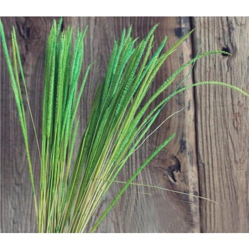 50pcs Miscanthus Grass Dried Flower For Wedding Party Home Hotel Decoration DIY Bouquet Project Accessory