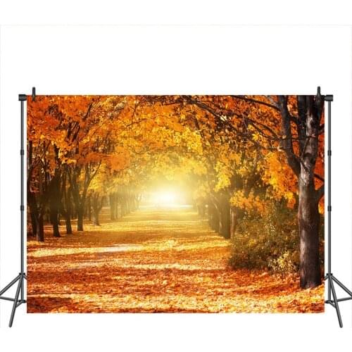 Neoback Autumn Background Forest Fallen Leaves Road Scencry Banner Decoration Photography Backdrops Studio Shoots
