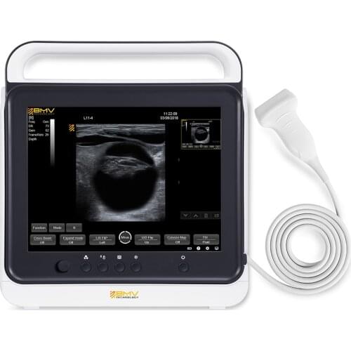 Professional PT50A Touch Screen Animal Handheld Ultrasound Scanner For Pets With Cheap Price