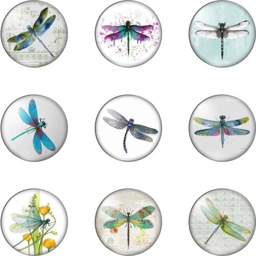 Winged Insect Beauty Dragonfly Lovely 12mm/20mm/25mm/30mm Round Photo Glass Cabochon Demo Flat Back Making Findings