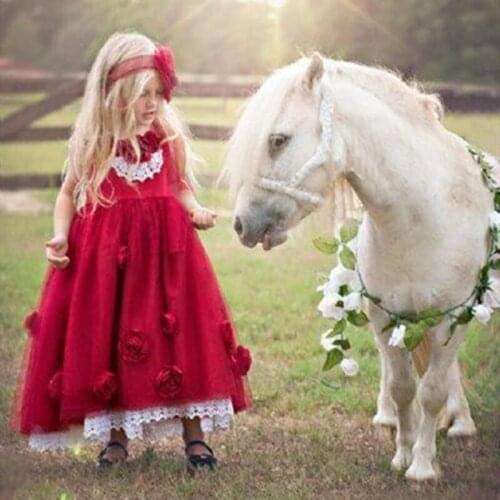 New Girls Dress For Party Children Wedding Party Dresses Long Sleeve Ball Gown Pageant Christmas Dress Photography Props