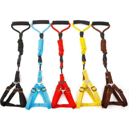 Small Dog Cat Harness Leash Adjustable Vest Collar Puppy Outdoor Walking Chihuahua Terier Schnauzer