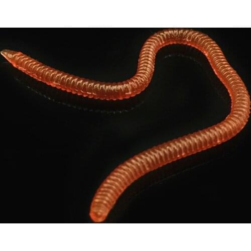 20pcs/lot Soft Fishing Lure Simulation Worm 8/10cm 0.4g Artificial Lifelike Lures Fishy Smell Carp Fishing Tackle