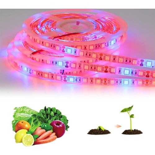 5M LED Phytolamps Full Spectrum LED Grow Light Strips 12V Phyto lamp Fitolamp For Plants Flowers Vegetable Seeds Seedling lamp