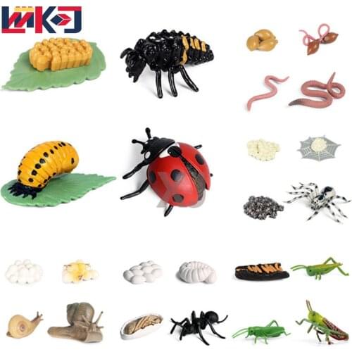 New Growth Cycle Insect Life Cycle Floor Tray Simulation Animals Figurine Pvc Models Action Figures Educational Children Toys
