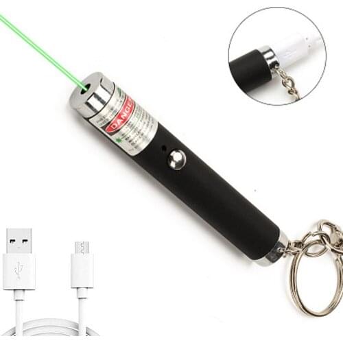 High Quality Green laser pointer usb Built-in Battery USB Charging Keychain High Power 5MW Portable Red Lazer Hunting equipment