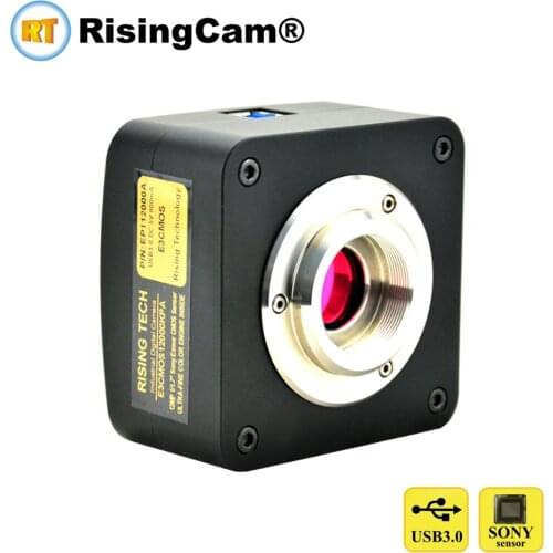 RisingCam Electronics