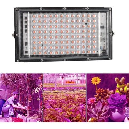 Brill-ligfut Phytolamps For Plants