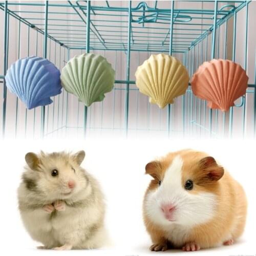 Parrot Hamster Teeth Grinding Toys Birds Squirrel Calcium Stone Shell Shape Chew for hamster