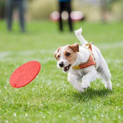 New 2pcs Interactive Dog Chew Toys Resistance Bite Soft Rubber Puppy Pet Toy for Dogs Pet Training Products Dog Flying Discs