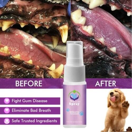 Pet Cat Dog Cleaning Division Odor Mouth Spray Natural Healthy Pet Care Dog Cat Products Accessories