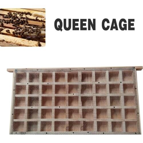 Bee Queen Cage Frame Queen Rearing Kit Beekeeping Catching Catcher Goods Tools For Beekeeper Suppiler