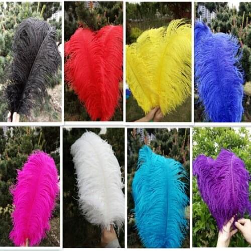 Wholesale beautiful 100 PCS 55-60 cm/22-24 inch ostrich feathers DIY wedding Interior decorations a variety of colors to choose