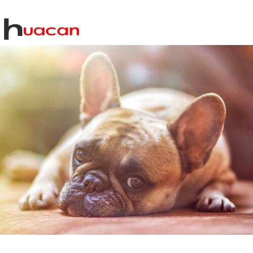 Huacan Diamond Painting Animal Dog Cross Stitch 5D Diy Diamond Mosaic Bulldog Home Art Bedroom Decoration