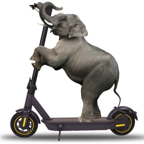 Двухколесные самокаты LanYuXuan China At AliExpress