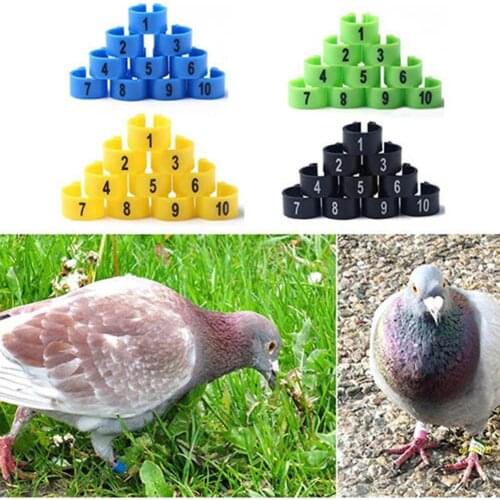 Bird Leg Ring 100Pcs Bird Poultry Parrot Chicks Plastic 1-100 Numbered Pigeon Leg Bands Rings