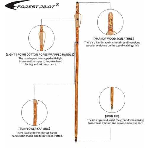FOREST PILOT Wooden Walking Cane for Men and Women Handcrafted of Hardwood, Nature Color, 118CM