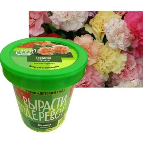 Зеленый капитал Products For The Garden And Vegetable Garden