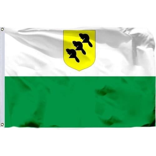 Estonia Land Counties Flag 90X150cm 3x5ft 120g 100D High Quality Põlvamaa Lipp Banner Free Shipping