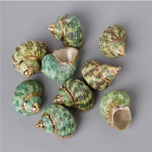 10PCS Natural Green Shell Pendant Conch Shell Earring Charms Pendant Natural Random For DIY Jewelry Necklaces Making Accessorie