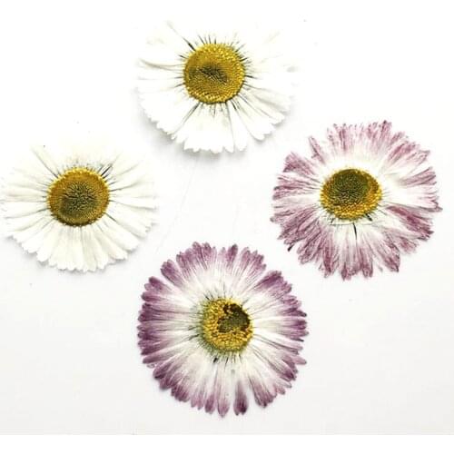 Big Daisy Dried Flower Arrangements For Ball Decoration Free Shipment 1 lot / 100 pcs