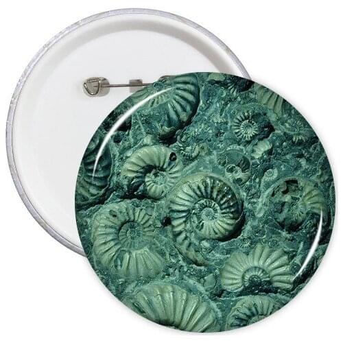 Nautilus Ammonites Fossils Specimen Round Pins Badge Button Clothing Decoration Gift 5pcs