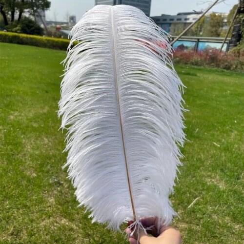 10 pcs Feathers Fluffy Ostrich Feathers 30-55cm Large Feathers For Wedding Party Center Pieces Decoration Home Deco