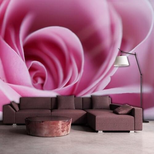 Wall mural-a rose, pink-400x309 cm