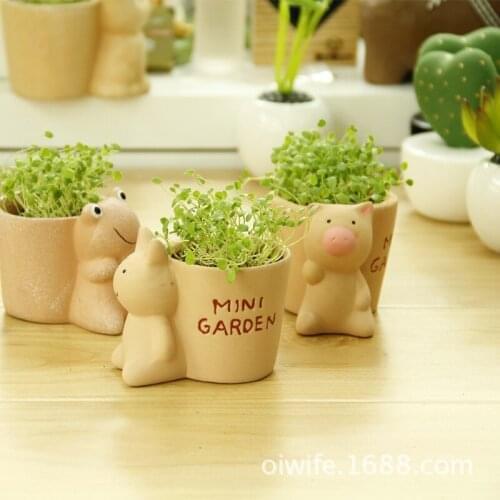 New creative mini garden baby ceramic pot potted green plants purify the air radiation protection office