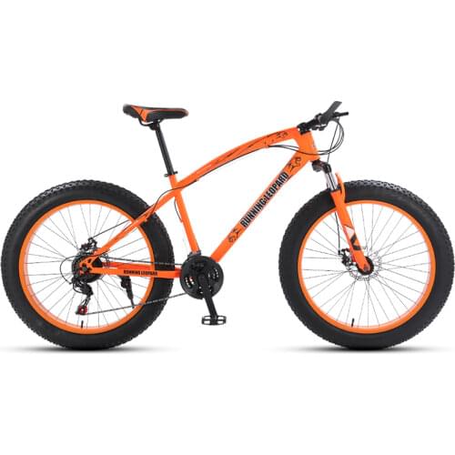 Mountain Bikes Running Leopard China