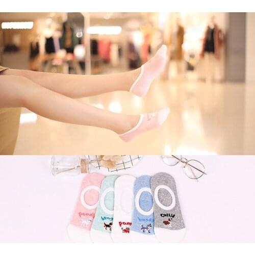 Colorful dog slipper Invisible Short Sweat summer comfortable cotton girl womens boat socks ankle low female 3pair=6pcs ws165