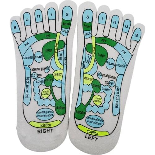 Acupressure Reflexology Socks Foot Massage Reflection Area Schematic Socks with Massage Stick Reflexology Zones Marked Socks
