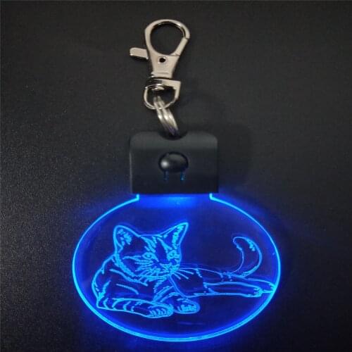 Sleeping Cat 3D ABS Arylic Night Light LED Magical Table Lamp Lighting Colors Decoration Gift With li Battery Dropshipping