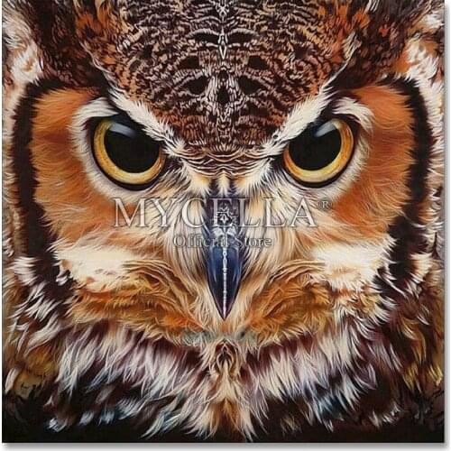 Full Diamond Embroidery Animal Owl 5D diy Diamond Painting Cross Stitch 3D Diamond Mosaic Needlework Crafts Christmas Gift
