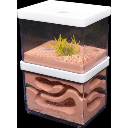 Big Ant Nest Insect Castle ant farm house with Feeding Area With landscaping decoration Anthill Ecological Workshop 10*8*16cm