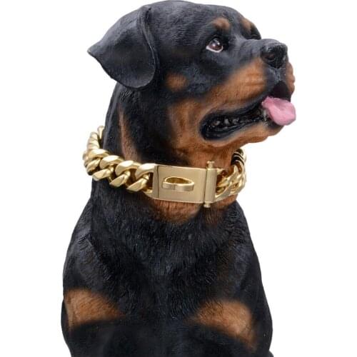 19mm Gold Collar Necklace for Pet Dog Stong Stainless Steel Metal Links Slip Chain Training Collar for Big Breeds-Rottweiler