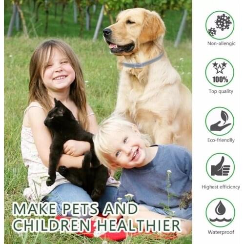 Summer Anti-insect Cat Dog Collar Anti Flea Mosquitoes Ticks Waterproof Cat Flea Collar Dog Accessories Cute Dog Collar