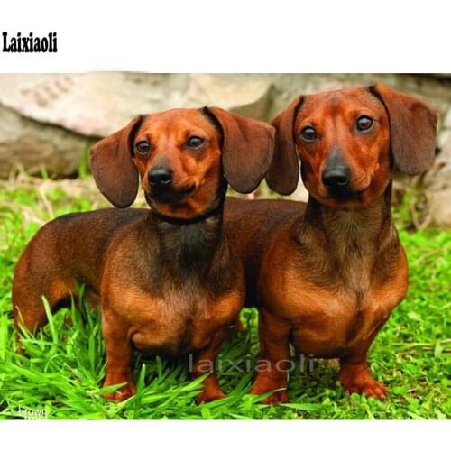 5d full square round drills mosaic Dachshund dog 3d Diamond painting animal Cross Stitch cute pet Mosaic Rhinestones Painting