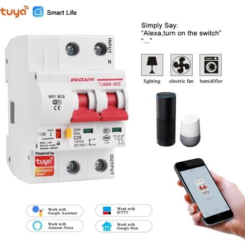 Smart Life(tuya) app 2p WiFi Smart Circuit Breaker overload short circuit protection with Alexa google home for Smart Home