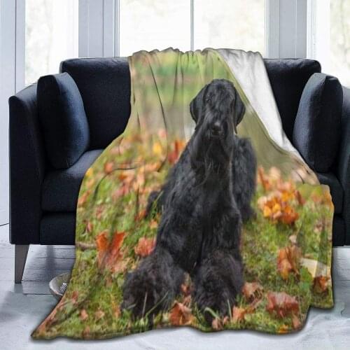Throw Blanket for Kids Teens Adults Lightweight Soft Warm The Giant Schnauzer Breed Dog Lying Grass Microfiber All Season Living