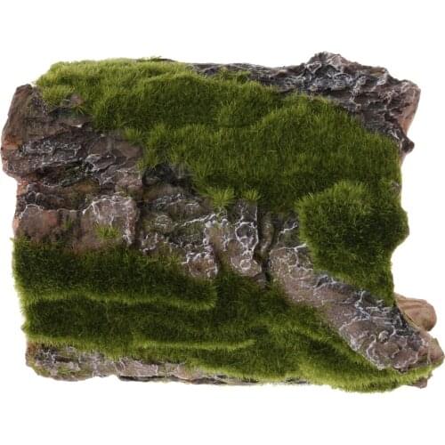 Bark Bends Terrarium Reptile Habitat Décoration Turtle Basking Platform