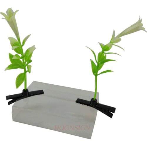 2pcs Hair Clip Flower Hair Clip Plants Show Moe Artifact Small Miaofa Clip Head Wacky Cartoon Headdress Flower