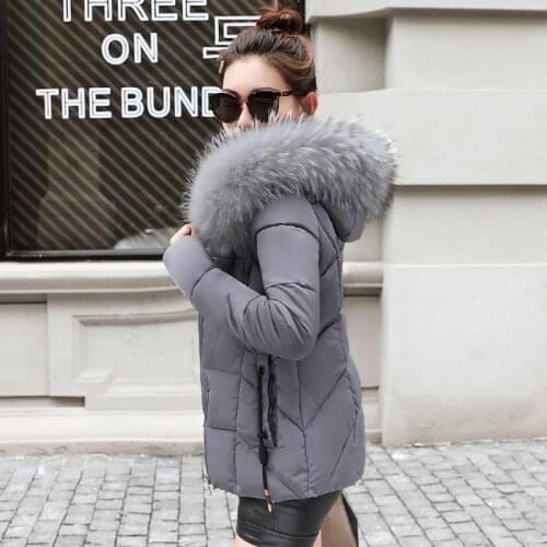 Winter Jacket Women 2019 Winter Coat New Fashion Women Jacket Outerwear Fake Fur collar Hooded Down Jacket Female Warm Parkas