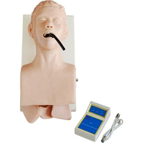Medical Teaching Human Trachea Intubation Model