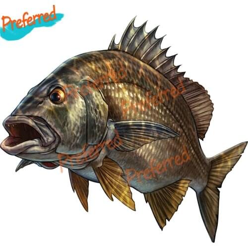 Personality Creative Fish Car Sticker Outdoor Sports Go Fishing Automobiles & Motorcycles Waterproof Kayak Boat PVC Decal