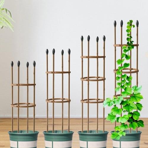 60/75/90/120cm Climbing Plant Trellis Garden Tomato Vine Plants Grapes Support Cages for Flowers Planting Accessories