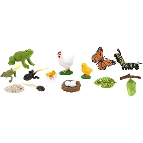 3x Kids Toy Simulation Animal Figures Set Growth Process Playset