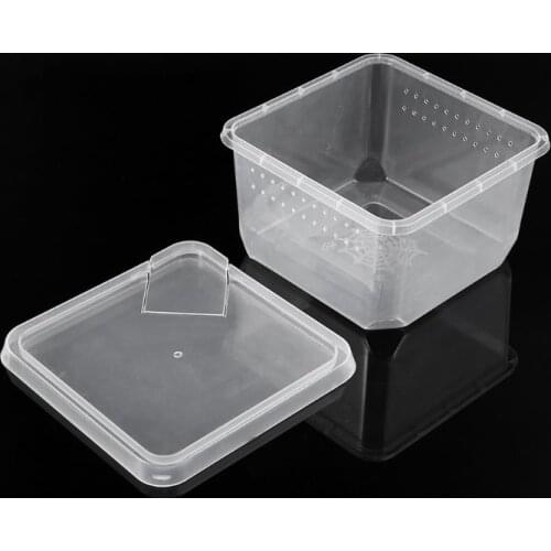 Reptile Terrarium Feeder Breeding Box Tortoise Spider Lizard Beetle Insect House