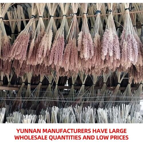 15pcs Dried Small Pampas Grass Flowers Pantas Artificiales Para Decoracion Real Plants Home Decor Wedding Decoration